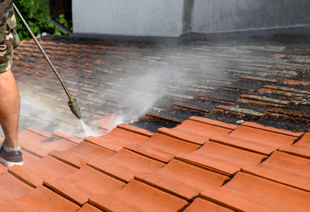 Best Pressure Washing Company Near Me  in Myrtle Beach, SC